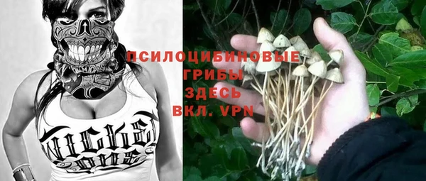 кокаин премиум Ельня